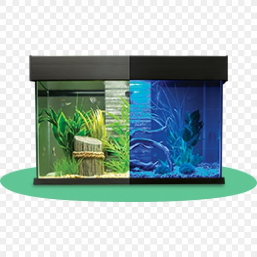 Aquariums Siamese Fighting Fish Aquarium Furniture Filtration, PNG, 900x900px, Aquarium, Aquarium Decor, Aquarium Filters, Aquarium Furniture, Aquarium Lighting Download Free