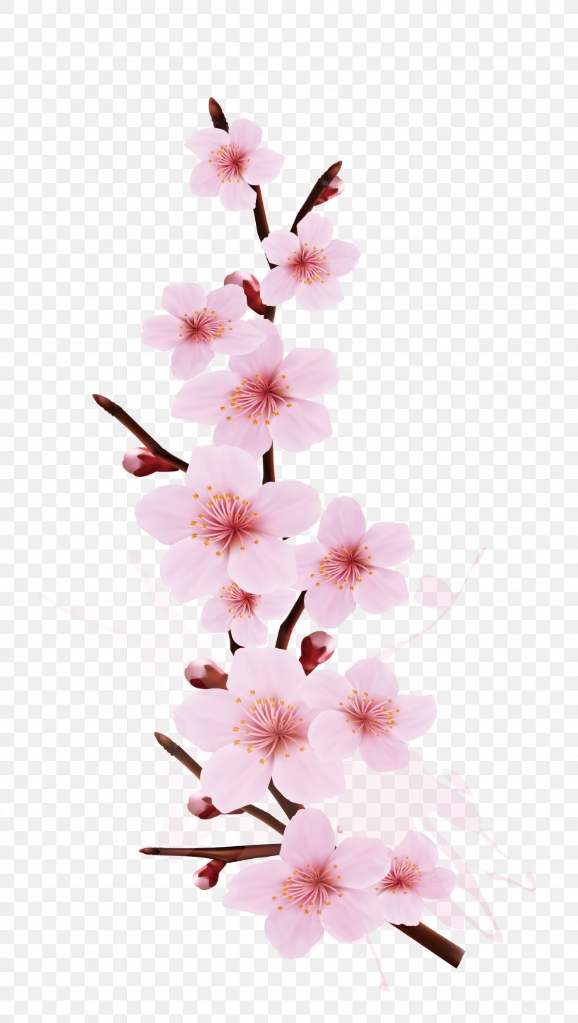 Cherry Blossom Branch Tree, PNG, 2212x3919px, Cherry Blossom, Blossom, Branch, Cherry, Depositphotos Download Free