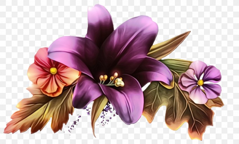 Flowering Plant Flower Purple Plant Violet, PNG, 1101x667px, Watercolor, Bouquet, Cattleya, Dendrobium, Flower Download Free