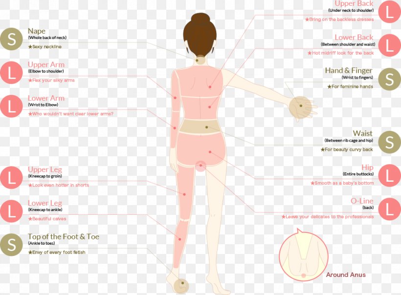 Skin Laser Hair Removal Human Body Body Hair, PNG, 953x703px, Watercolor, Cartoon, Flower, Frame, Heart Download Free