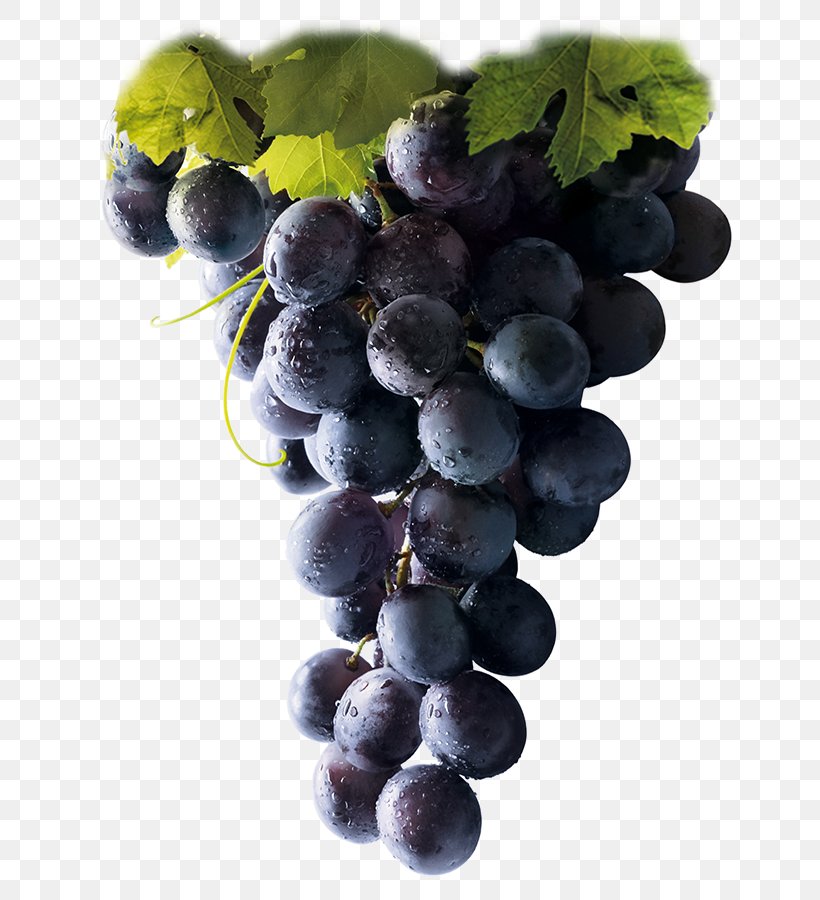 Winery Common Grape Vine Vinotherapy, PNG, 668x900px, Wine, Amazon Grape, Bilberry, Blueberry, Common Grape Vine Download Free