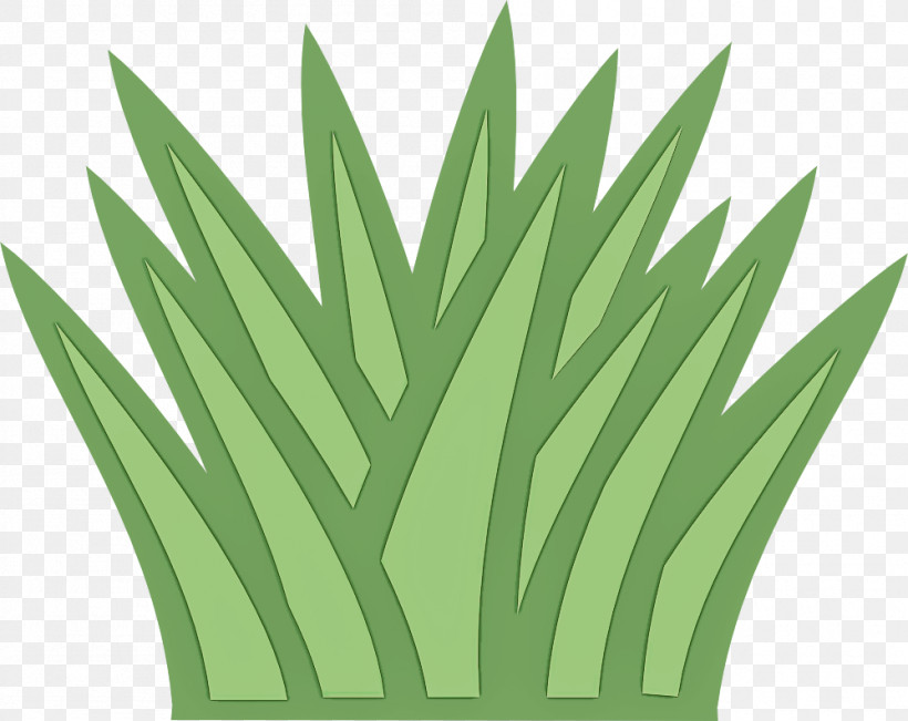 Green Leaf Grass Plant Grass Family, PNG, 999x794px, Green, Flower, Grass, Grass Family, Houseplant Download Free