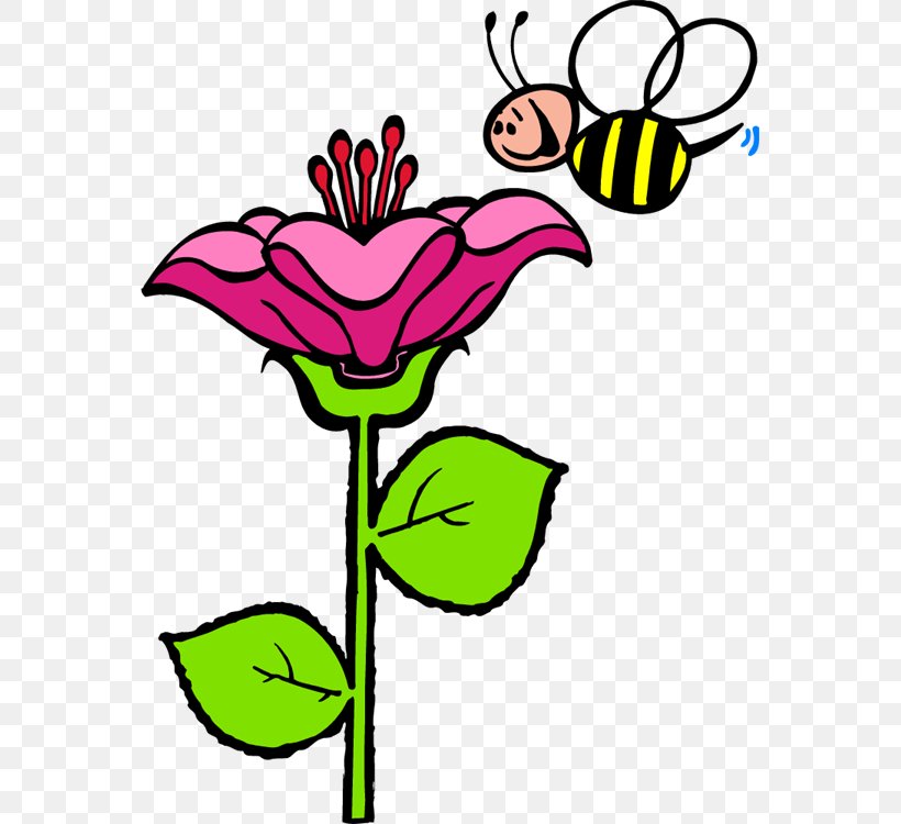 Honey Bee Clip Art Insect Flower, PNG, 563x750px, Bee, Anthophora Plumipes, Area, Art, Artwork Download Free