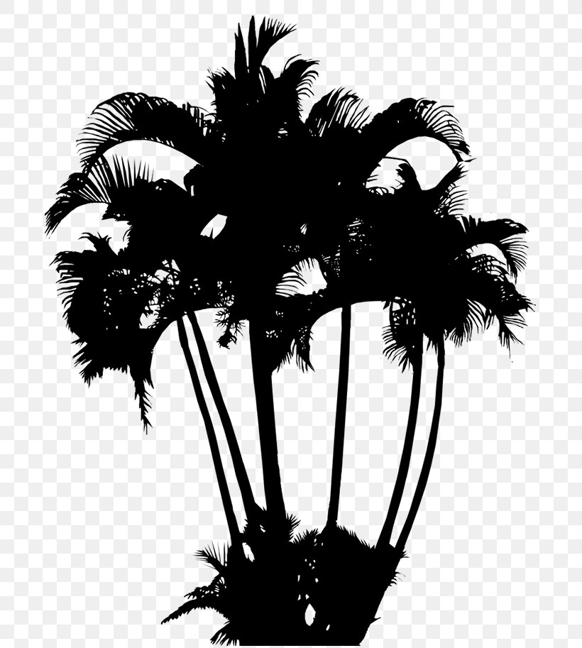 Palm Trees Image Logo Coconut, PNG, 713x913px, Palm Trees, Arecales, Blackandwhite, Borassus Flabellifer, Coco Download Free