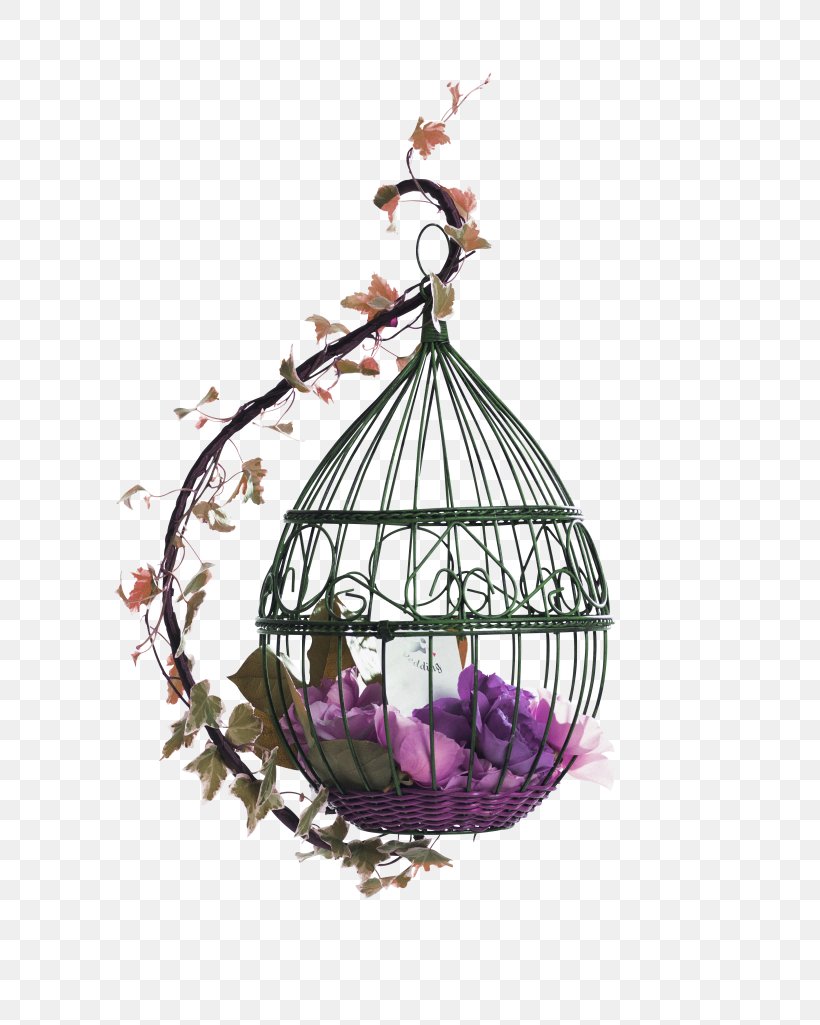 Purple Fresh Bird Cage Decoration Pattern, PNG, 3280x4100px, Parrot, Android, Bird, Bird Feeders, Birdcage Download Free