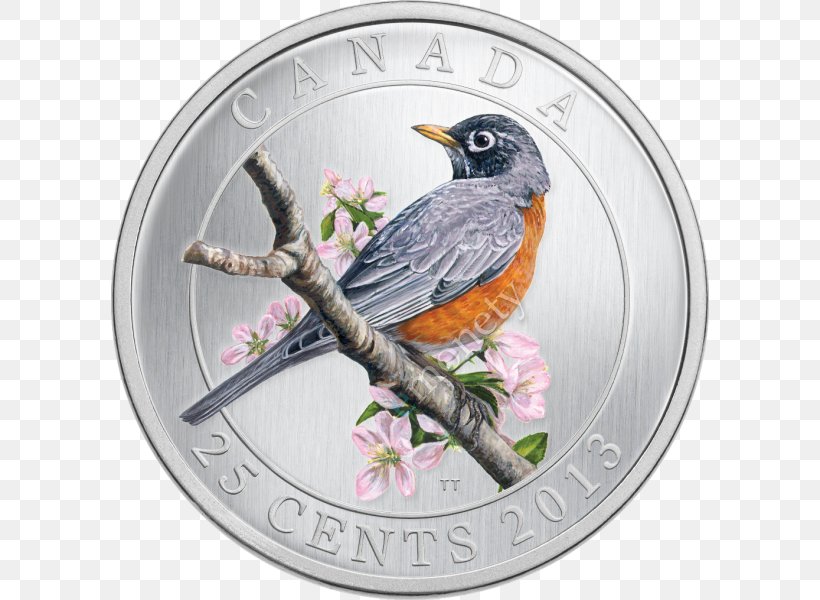 Quarter Bird Coin American Robin Cent, PNG, 598x600px, Quarter, American Robin, Beak, Bird, Bullion Download Free