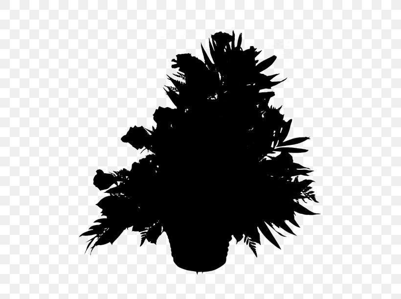 Tree Desktop Wallpaper Computer Silhouette Font, PNG, 500x611px, Tree, Black, Black M, Blackandwhite, Colorado Spruce Download Free