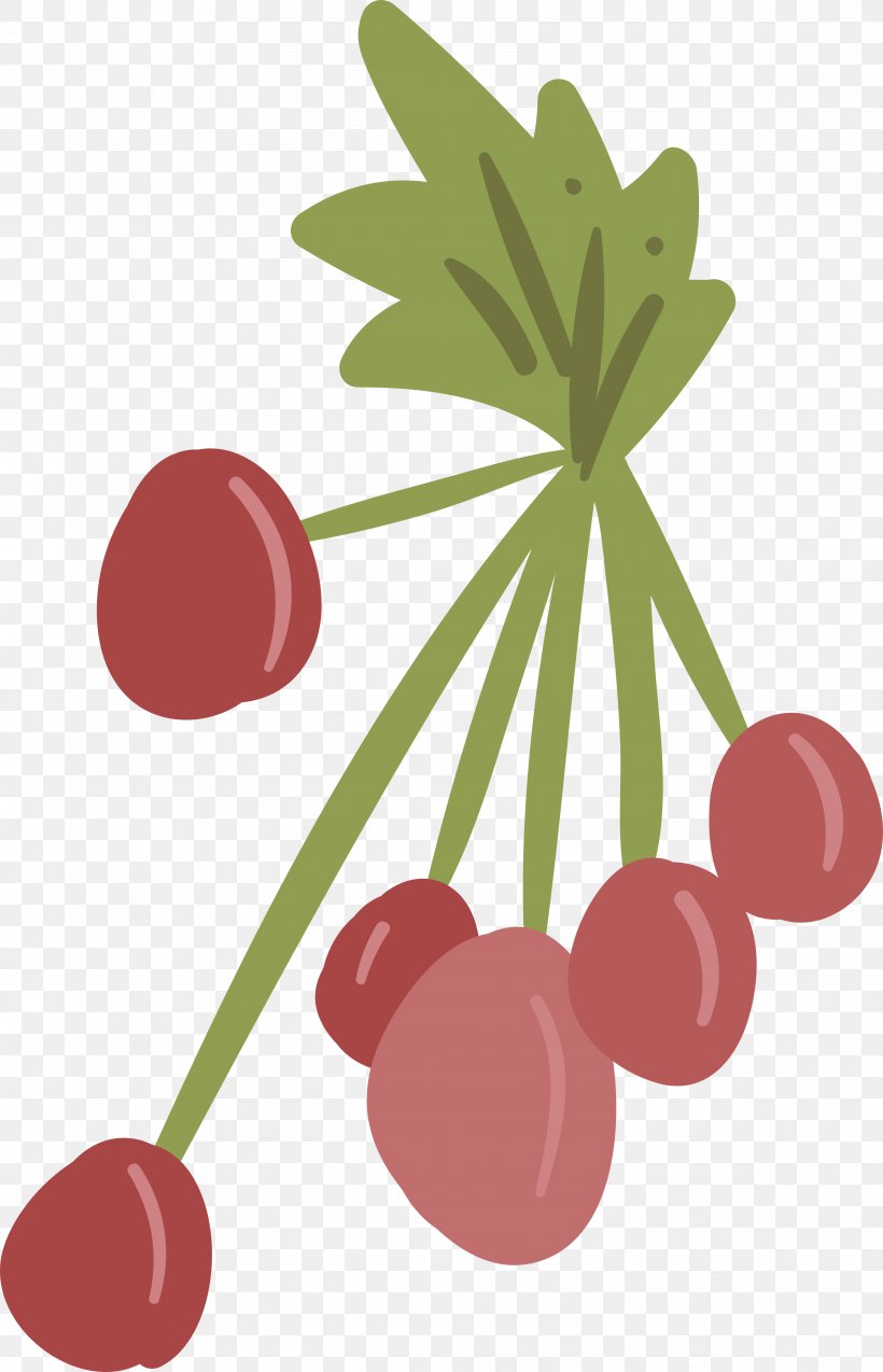 Frutti Di Bosco Cherry Berry, PNG, 3216x5000px, Frutti Di Bosco, Berry, Cartoon, Cherry, Flower Download Free