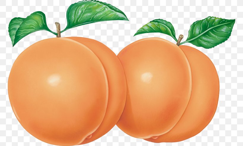 Peach Clip Art, PNG, 768x493px, Peach, Apricot, Citrus, Diet Food, Digital Image Download Free