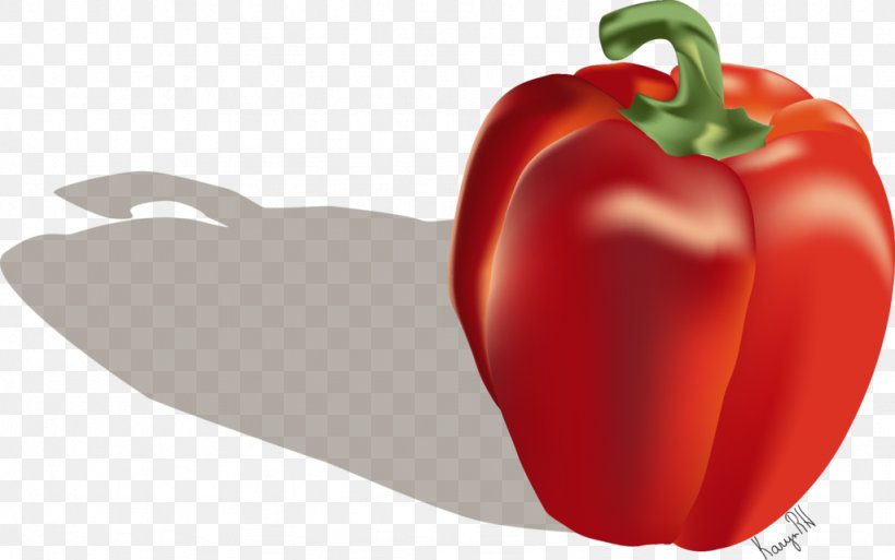 Piquillo Pepper Tabasco Pepper Cayenne Pepper Bell Pepper Malagueta Pepper, PNG, 1024x641px, Piquillo Pepper, Bell Pepper, Bell Peppers And Chili Peppers, Capsicum, Capsicum Annuum Download Free