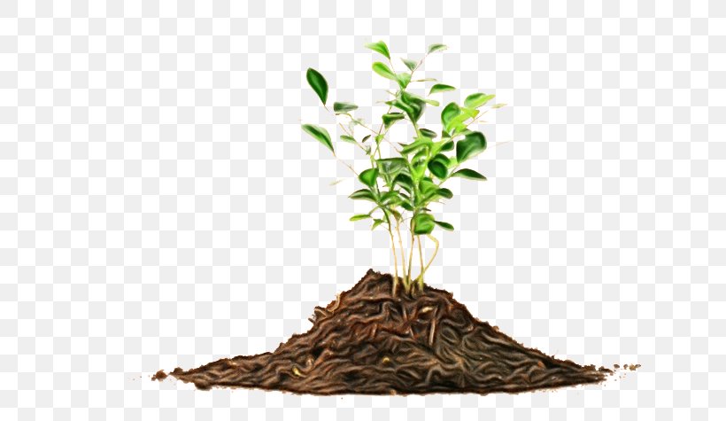Plant Tree Soil Root Leaf, PNG, 650x475px, Watercolor, Flower, Flowerpot, Houseplant, Leaf Download Free