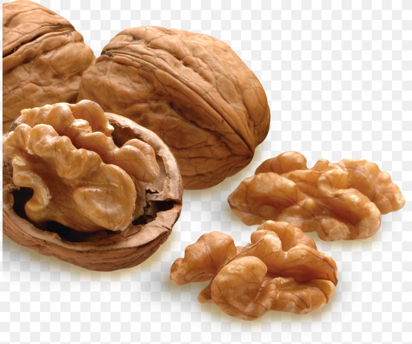 Walnut Almond Pecan Nutcracker, PNG, 810x684px, Walnut, Acorn, Almond, Brazil Nut, Cashew Download Free