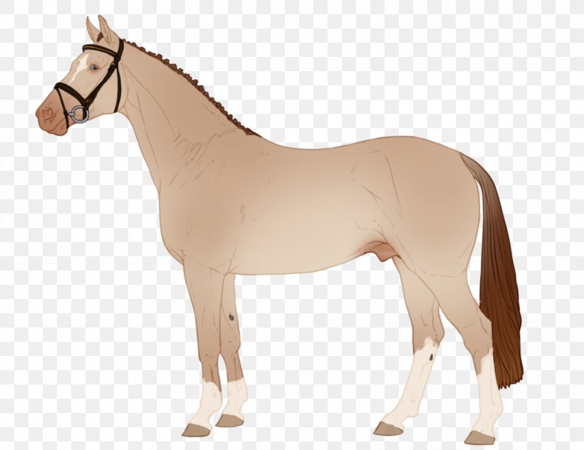 Mane Mustang Stallion Rein Mare, PNG, 1018x785px, Mane, Animal Figure, Bit, Bridle, Halter Download Free