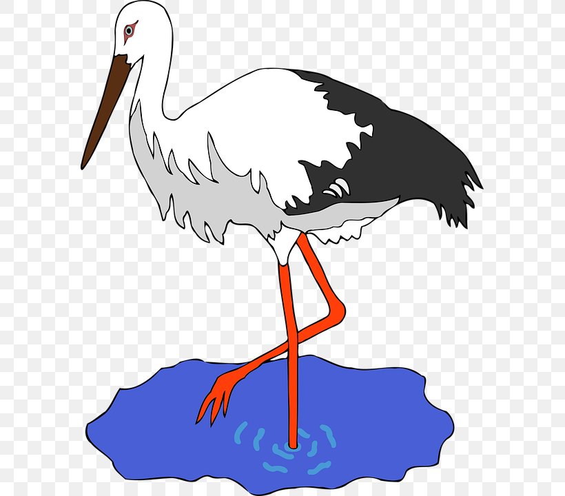 White Stork Bird Clip Art, PNG, 585x720px, Bird, Artwork, Aviary, Beak, Charadriiformes Download Free