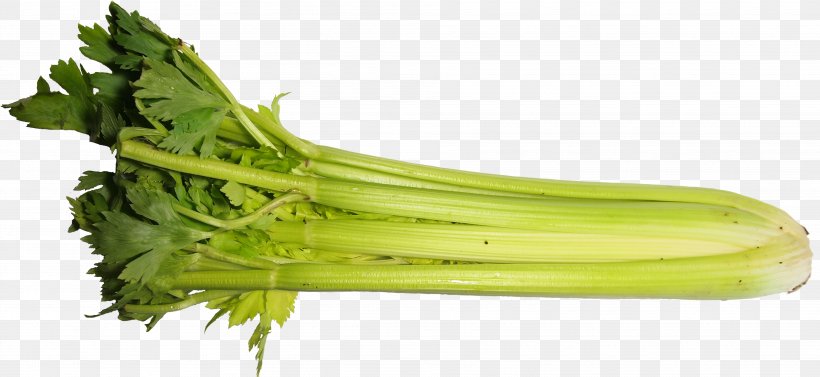 Celery Apium Vegetable Food Celeriac, PNG, 3828x1764px, Celery, Apiaceae, Apium, Asterids, Broccoli Download Free