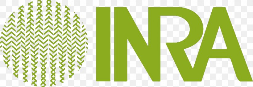 Institut National De La Recherche Agronomique INRA Research Station At Pierroton Vigne Logo Product Design, PNG, 924x321px, Vigne, Area, Biosynthesis, Brand, Energy Download Free