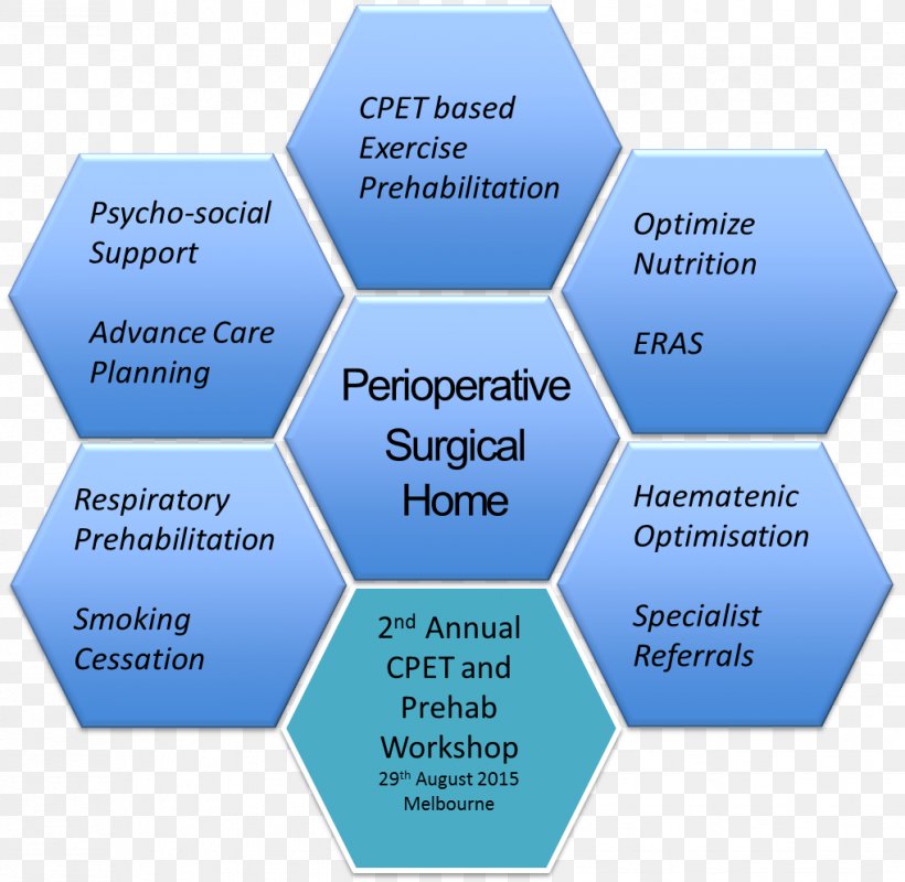 Perioperative Surgery Preoperative Care Anesthesia Patient, PNG, 1019x995px, Perioperative, Ache, Anesthesia, Cardiopulmonary Exercise Testing, Com Download Free