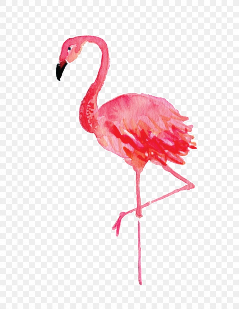 Stephenville Flamingo Watercolor Painting Drawing Canvas, PNG, 876x1134px, Stephenville, Art, Beak, Bird, Canvas Download Free