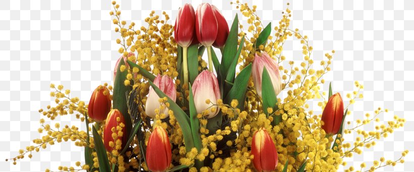 Tulips In A Vase Flower Raster Graphics, PNG, 800x341px, Tulip, Cut Flowers, Daffodil, Daytime, Floral Design Download Free