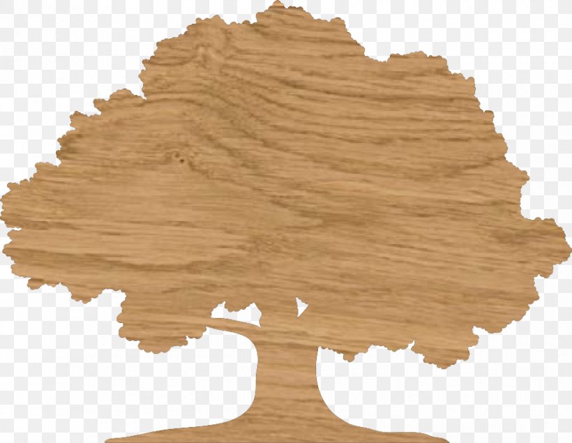 Drawing Tree English Oak, PNG, 892x691px, Drawing, Coloring Book, Depositphotos, English Oak, Oak Download Free