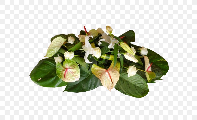 Floral Design Leaf Flower, PNG, 600x500px, Floral Design, Flower, Leaf, Plant Download Free