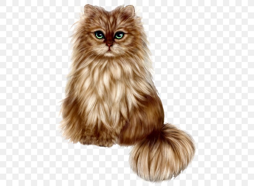 Persian Cat Kitten Pet Dog Breed, PNG, 455x600px, Persian Cat, American Curl, Animal, Animal Shelter, Asian Semilonghair Download Free