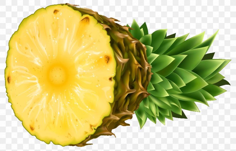 Pineapple Fruit Slice Clip Art, PNG, 832x533px, Pineapple, Ananas, Bromeliaceae, Food, Fruit Download Free