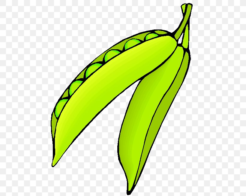 Banana Pea Vegetarian Cuisine Soybean Clip Art, PNG, 490x652px, Banana, Artwork, Auglis, Banana Family, Commodity Download Free
