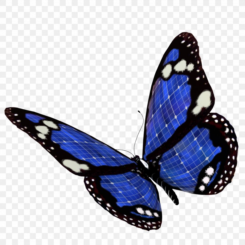 Blue Color, PNG, 3000x3000px, Blue, Arthropod, Brush Footed Butterfly, Butterfly, Cobalt Blue Download Free