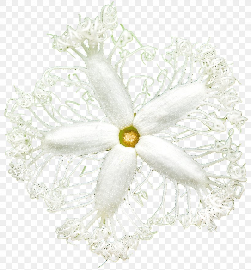 Cut Flowers Floral Design Petal Plant, PNG, 870x938px, Flower, Clothing Accessories, Cut Flowers, Floral Design, Flowering Plant Download Free