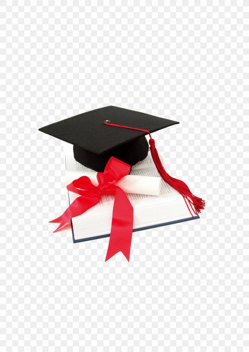 Student Graduation Ceremony Academic Degree Diploma, PNG, 2480x3508px, Student, Academic Degree, Bachelors Degree, Box, Cap Download Free