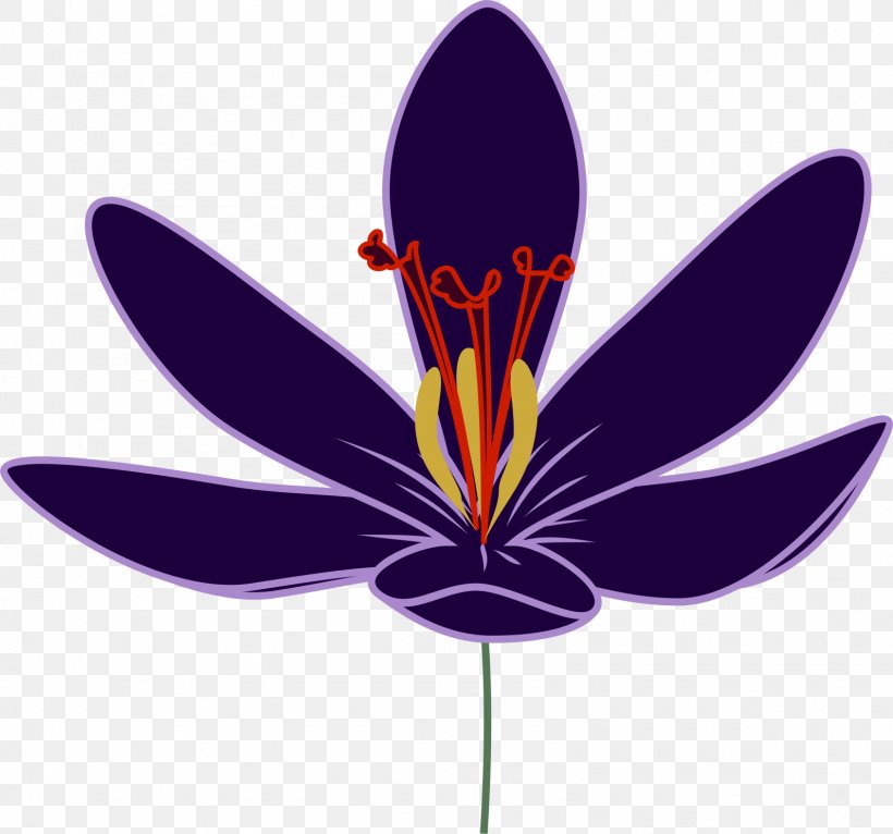 Saffron Flower Crocus Flavus Clip Art, PNG, 1591x1488px, Saffron, Crocus, Crocus Flavus, Flower, Leaf Download Free