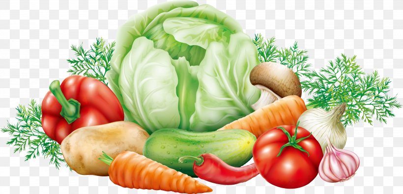 Cabbage Vegetable Potato Clip Art, PNG, 2664x1289px, Cabbage, Brassica Oleracea, Capsicum Annuum, Diet Food, Dish Download Free
