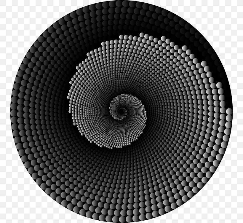 Concentric Objects Circle Monochrome, PNG, 752x752px, Concentric Objects, Black And White, Disk, Information, Monochrome Download Free