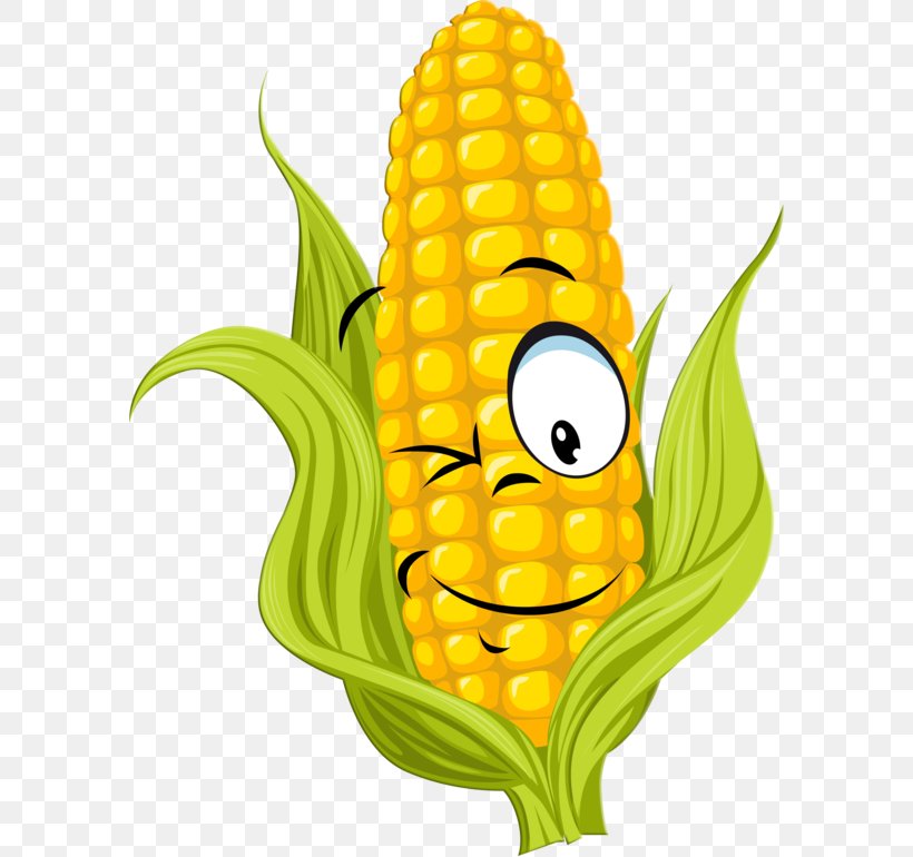 Corn On The Cob Maize Cartoon Sweet Corn, PNG, 588x770px, Corn On The Cob, Cartoon, Commodity, Drawing, Field Corn Download Free