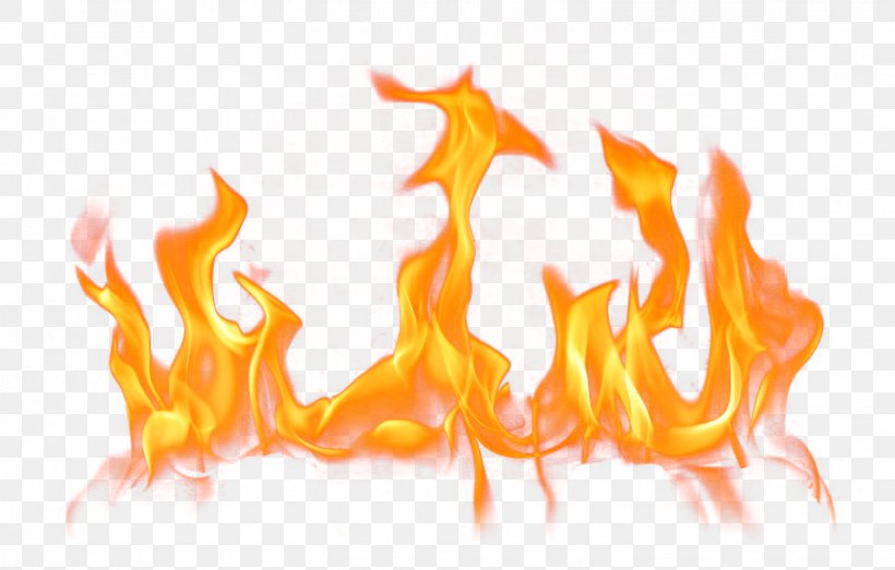Fire Clip Art, PNG, 1444x921px, Fire, Flame, Heat, Illustration, Light Download Free