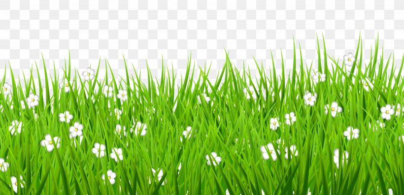 Lawn Clip Art, PNG, 5000x2418px, Flower, Commodity, Easter, Field, Grass Download Free