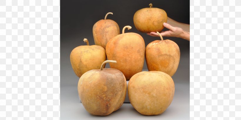Pumpkin Gourd Calabaza Cucurbita Food, PNG, 1200x600px, Pumpkin, Art, Bowl, Calabaza, Craft Download Free