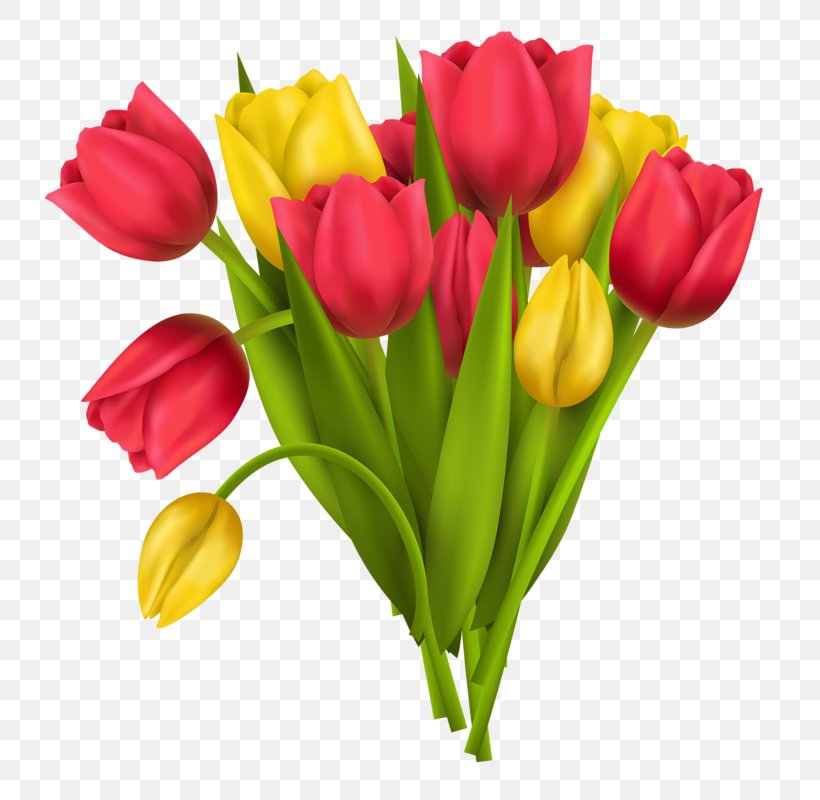 Vase Flower Stock Photography Tulip, PNG, 729x800px, Vase, Artificial Flower, Cut Flowers, Drawing, Floral Design Download Free
