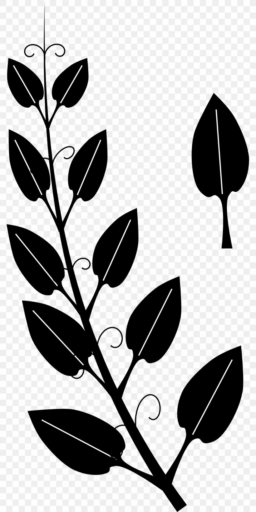 Vine Tendril Drawing Ivy Clip Art, PNG, 960x1920px, Vine, Black, Black And White, Branch, Drawing Download Free