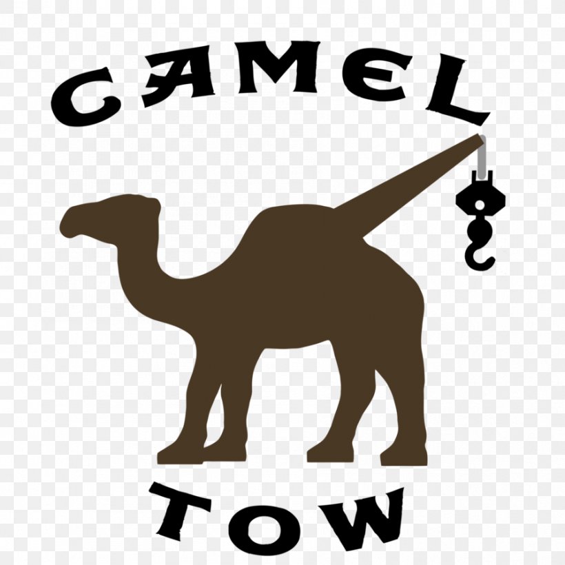 Camel Clip Art Brand Logo Mammal, PNG, 894x894px, Camel, Area, Black And White, Brand, Camel Like Mammal Download Free