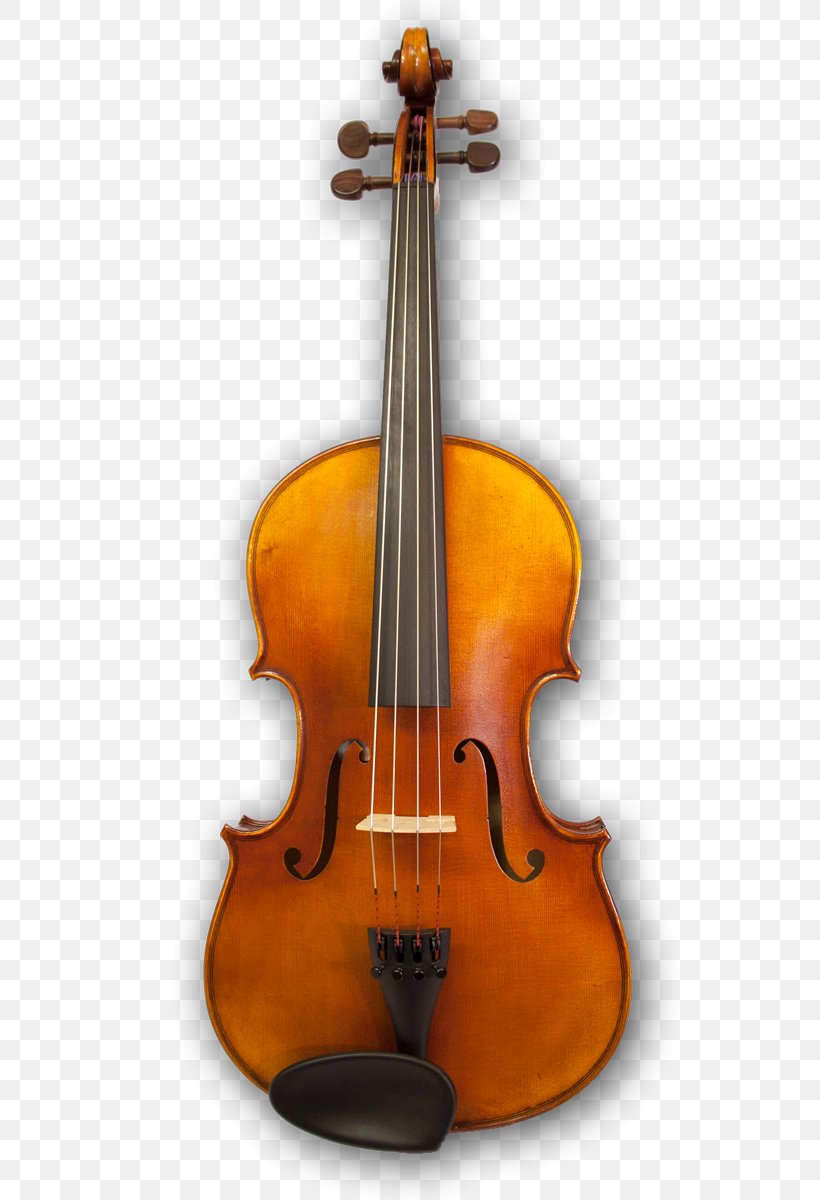 Cello Violin Musical Instruments Viola String Instruments, PNG, 619x1200px, Cello, Bass Guitar, Bass Violin, Bow, Bowed String Instrument Download Free