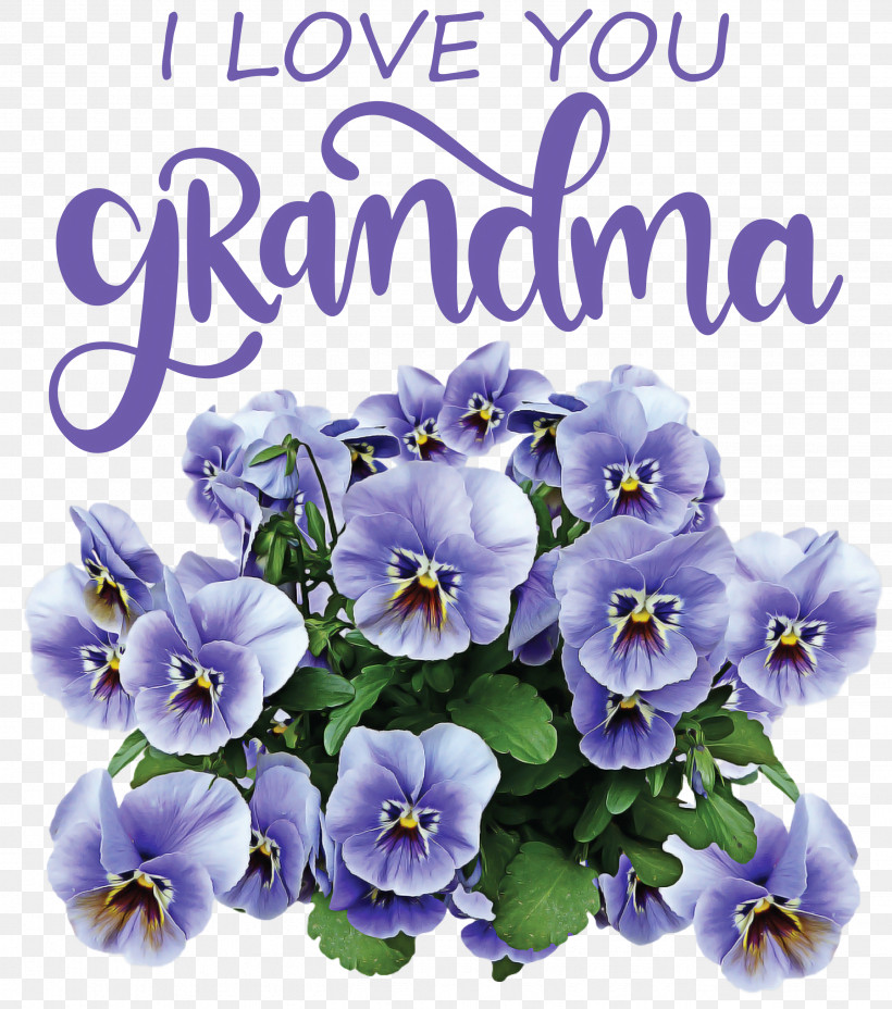 Grandmothers Day Grandma, PNG, 2649x3000px, Grandmothers Day, Cartoon, Color, Drawing, Flower Download Free