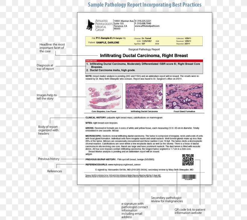 Surgical Pathology Surgery Digital Pathology Biopsy, PNG, 600x732px, Pathology, Acute Abdomen, Anatomical Pathology, Area, Biopsy Download Free