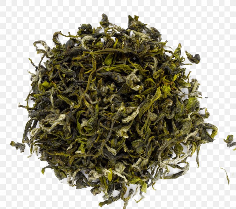 Darjeeling Tea Sencha White Tea Oolong, PNG, 874x775px, Darjeeling Tea, Assam Tea, Bai Mudan, Baihao Yinzhen, Bancha Download Free