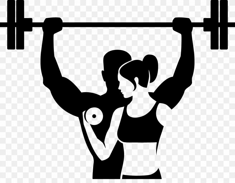 Fitness Centre Physical Fitness Logo Png 6000x4666px Fitness Centre Abdomen Area Arm Barbell Download Free
