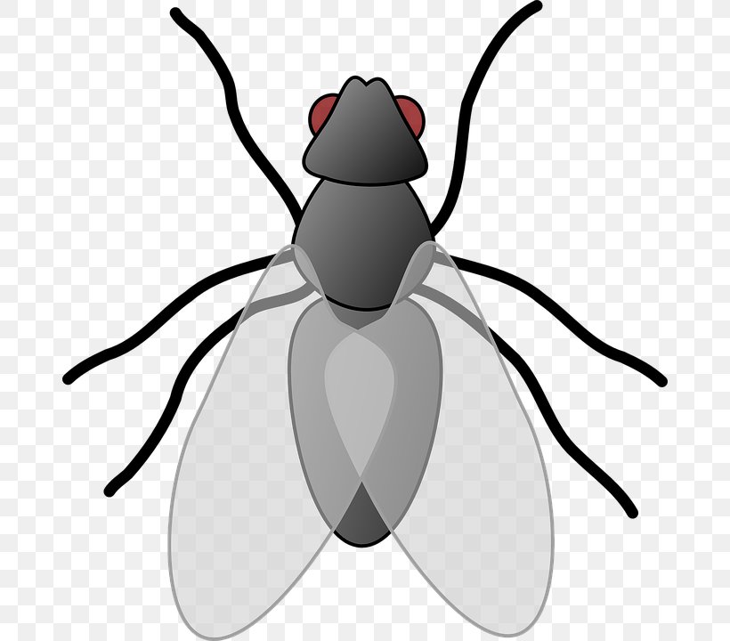 Interesting Insects Clip Art, PNG, 680x720px, Insect, Artwork, Beetle, Black And White, Cricket Download Free