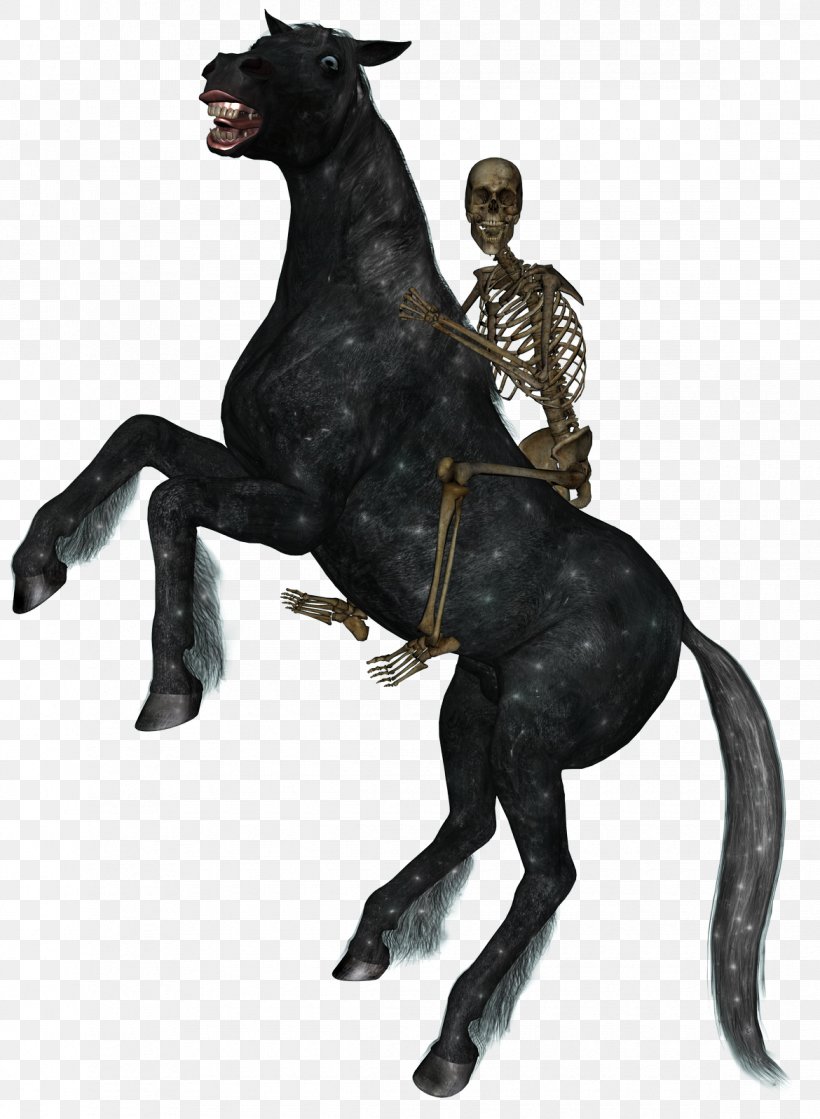 Horse&Rider Equestrian Skeleton, PNG, 1170x1598px, Horse, Animal, Animal Figure, Bit, Drawing Download Free