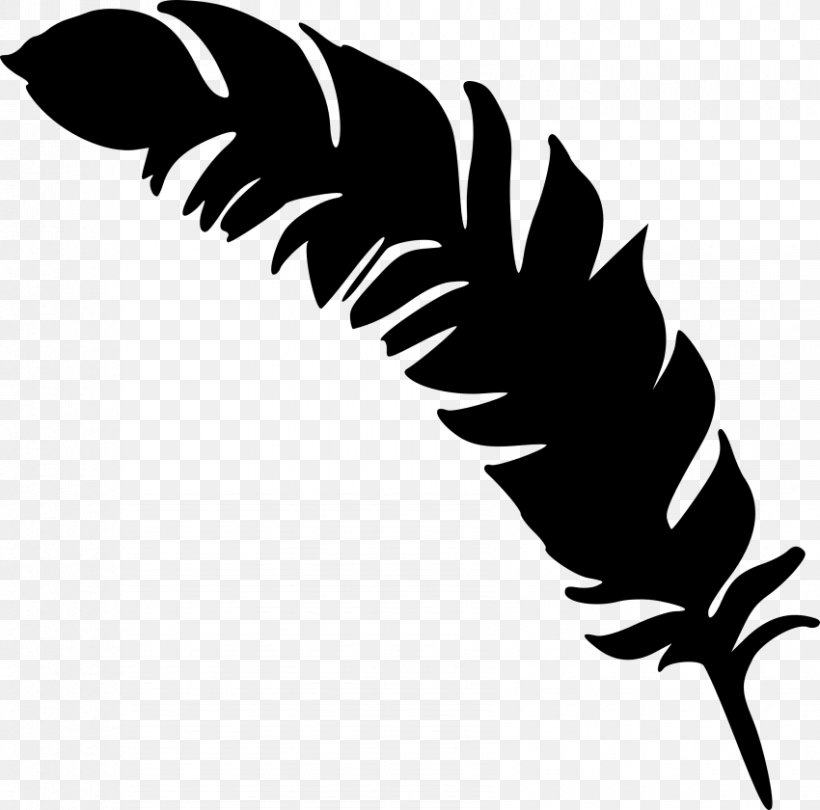Clip Art Silhouette Drawing Image, PNG, 850x840px, Silhouette, Blackandwhite, Claw, Drawing, Feather Download Free