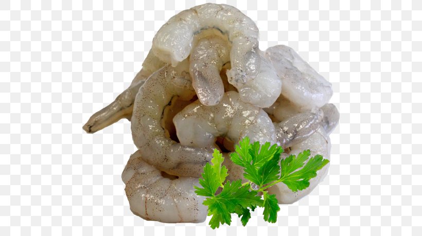 Shrimp And Prawn As Food Caridea Giant Tiger Prawn, PNG, 500x459px, Shrimp, Animal Source Foods, Caridea, Cutlet, Dish Download Free